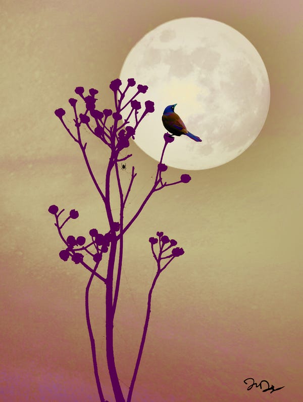 Poetry Chaikhana | Fukuda Chiyo-ni - loneliness