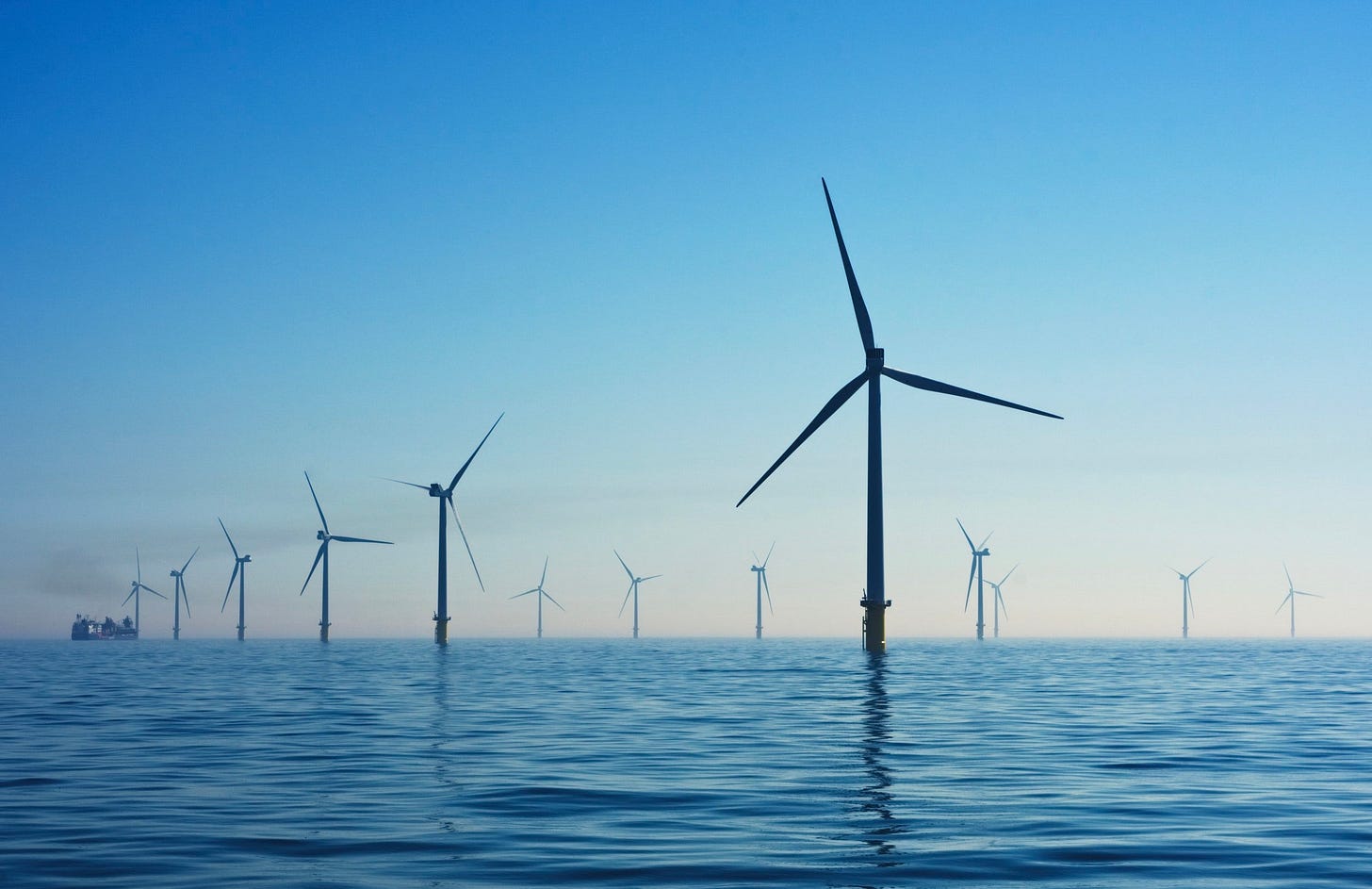 Are Offshore Wind Farms a Friend or Foe of Marine Life? — Big Blue Ocean  Cleanup | Ocean Cleaning Non-Profit | Plastic Cleanups | Ocean Cleaning |  Ocean Conservation