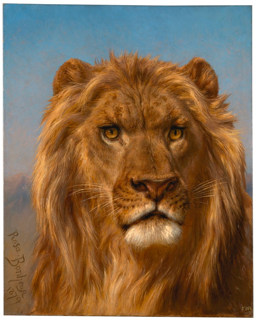 A lion head with a blazing mane and almost human eyes A lion head with a blazing mane and almost human eyes