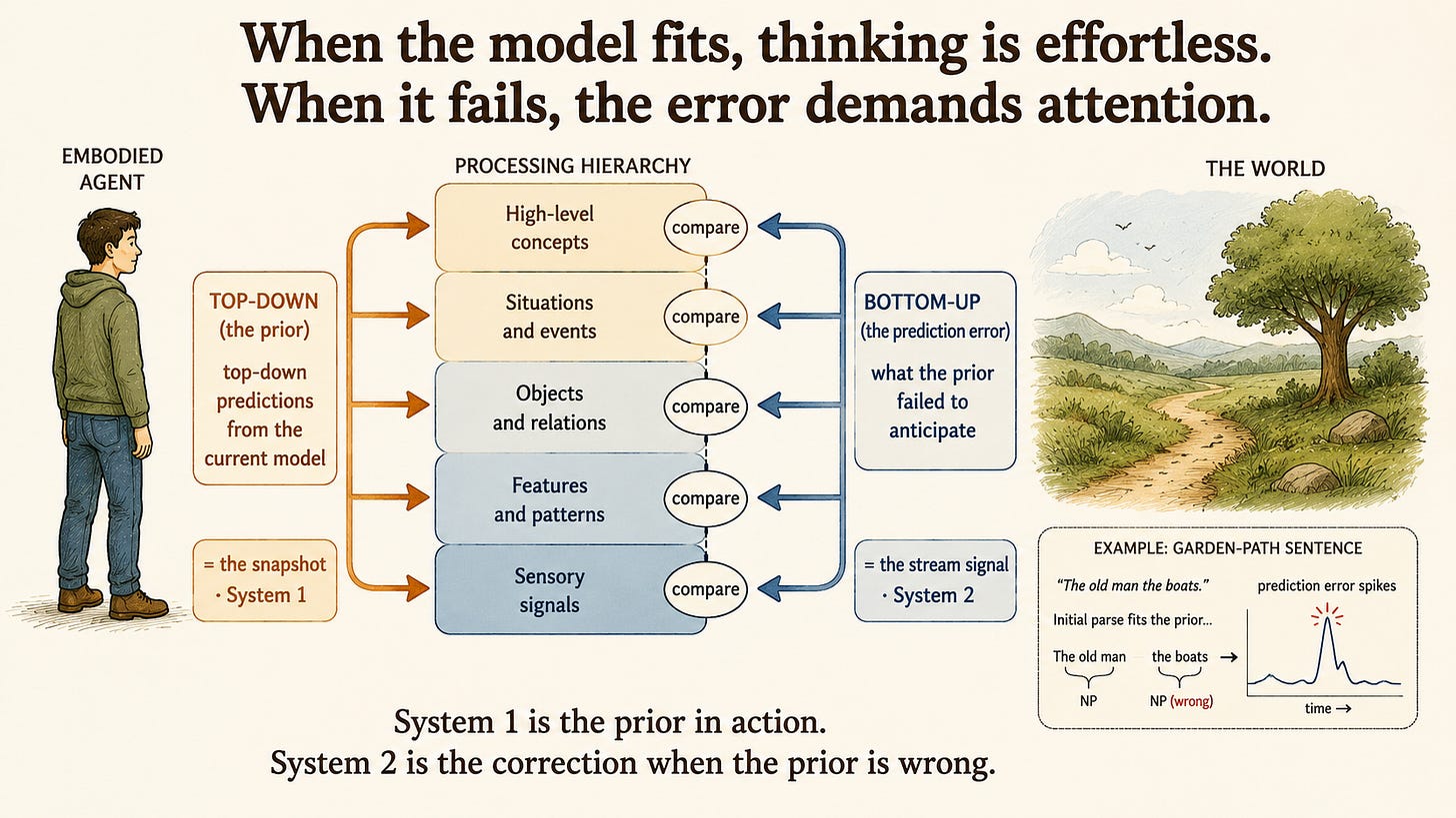 A predictive-processing diagram: a small embodied figure and the world joined by a stack of processing bands. Top-down warm arrows ("the prior — predictions from the current model; = the snapshot, System 1") meet bottom-up cool arrows ("the prediction error — what the prior failed to anticipate; = the stream signal, System 2") at "compare" nodes. An inset shows a garden-path sentence spiking the error signal.