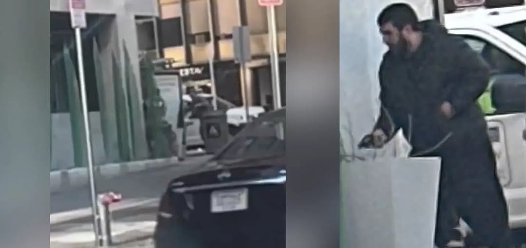 May be an image of text that says 'ESTA'