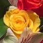 YellowRose's avatar