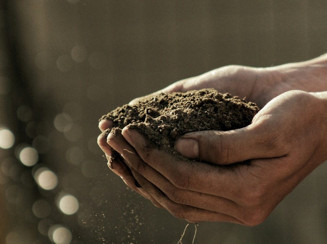 bokeh photography of person carrying soil