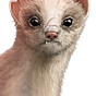 Emiliano's avatar