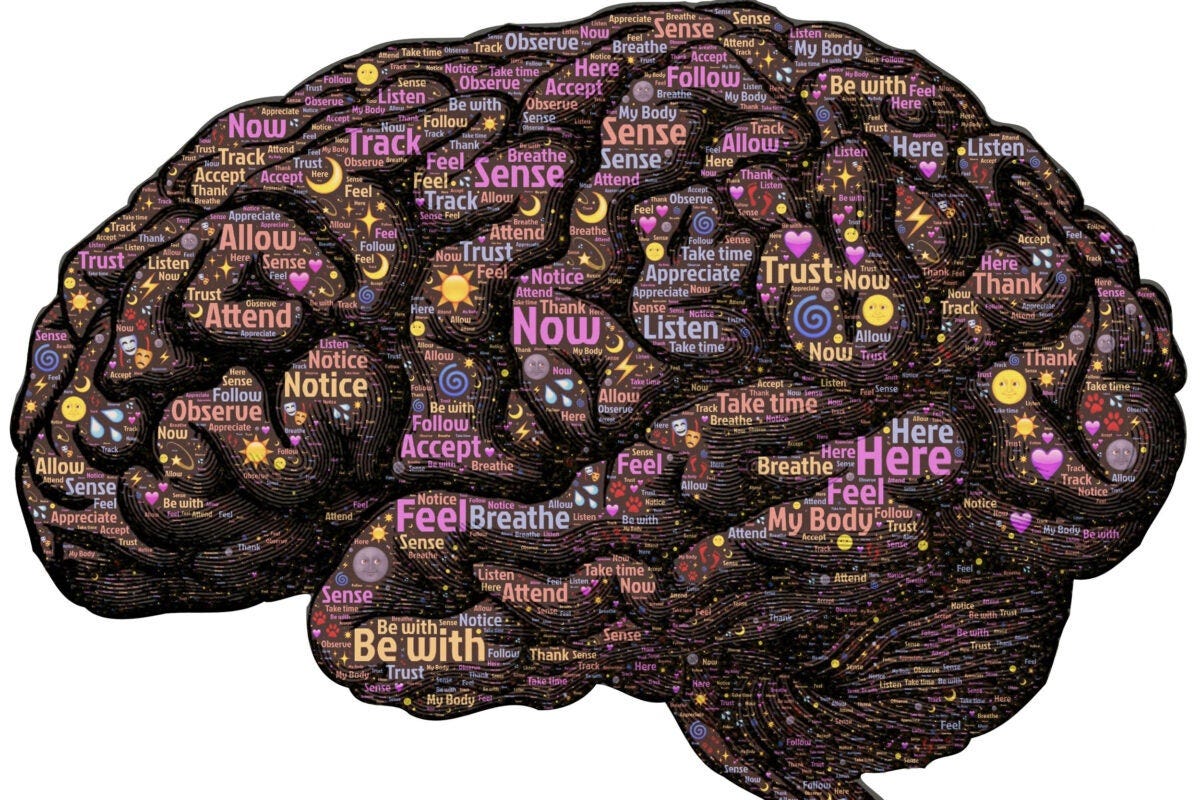 Mindfulness meditation and relaxation response affect brain differently –  Harvard Gazette