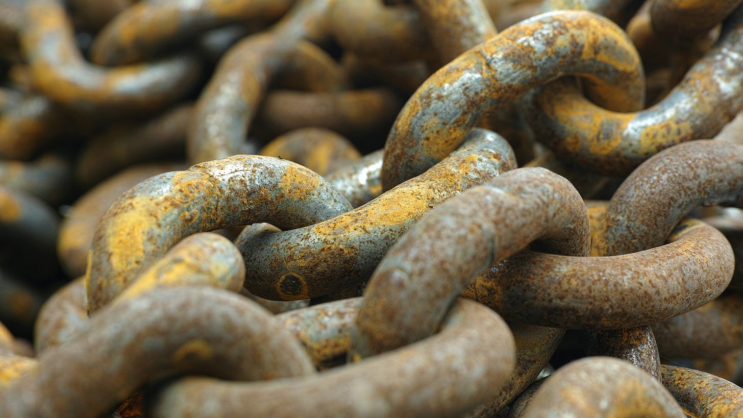 OnlySubs: The Three Iron Laws of Woke Behavior - New Discourses OnlySubs: The Three Iron Laws of Woke Behavior - New Discourses