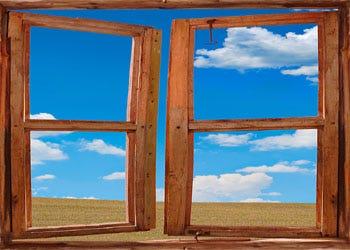 The window for change is closing | Tom McCallum | UK Leadership Coach