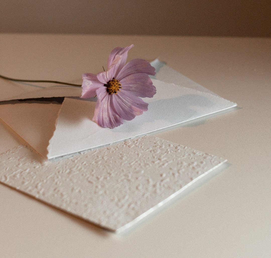 a pink flower sitting on top of a piece of paper a pink flower sitting on top of a piece of paper