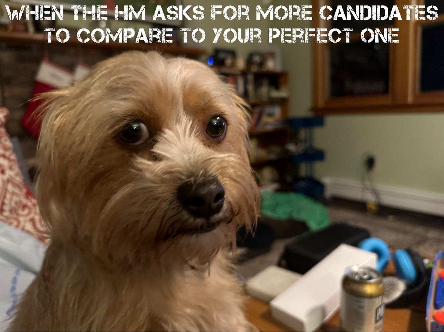 No alternative text description for this image