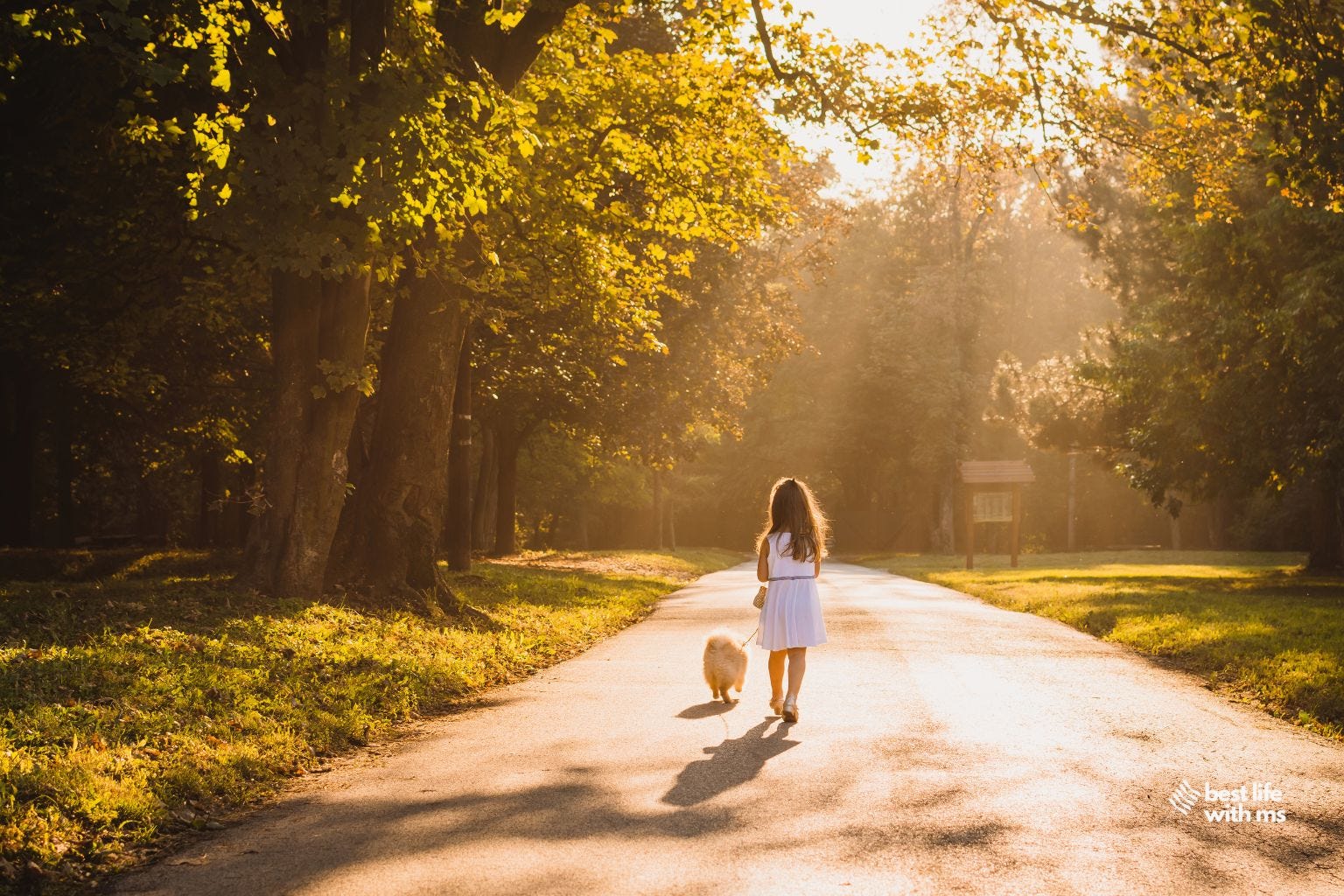 child walking in sunshine along a road with small dog child walking in sunshine along a road with small dog
