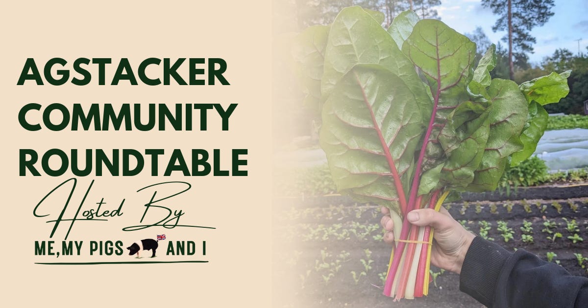 We Are Building a Home for Food and Farming Writers on Substack