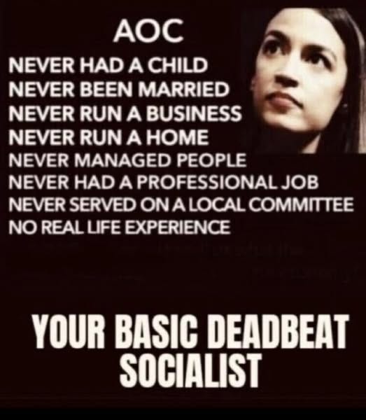 May be an image of 1 person and text that says 'AOC NEVER HAD CHILD NEVER BEEN MARRIED NEVER RUN A BUSINESS NEVER RUN A HOME NEVER MANAGED PEOPLE NEVER HAD A PROFESSIONAL JOB NEVER SERVED ON A LOCAL COMMITTEE NO REAL LIFE EXPERIENCE YOUR BASIC DEADBEAT SOCIALIST'