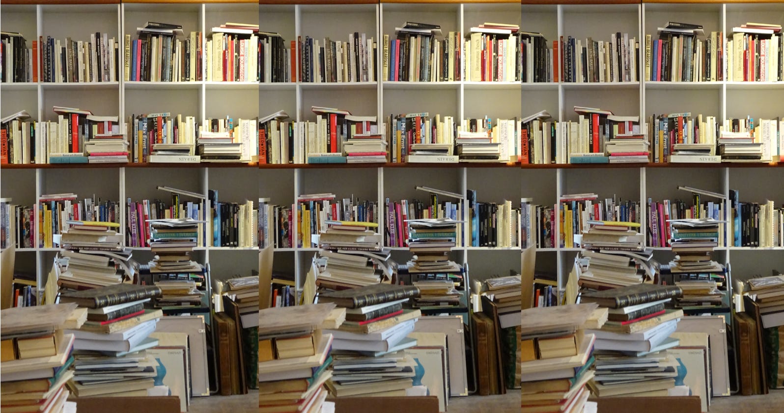 The Problem of Too Many Books (Part 2)