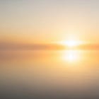 The Light That Stays
