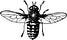 Hollywood Gadfly