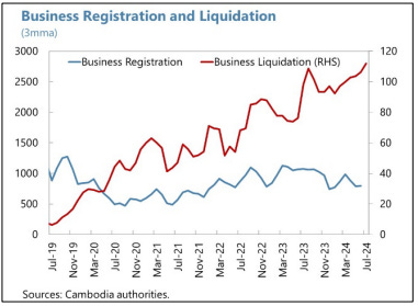 A graph of a business registration and liquidation

Description automatically generated