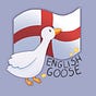 David Wildgoose's avatar