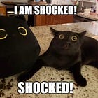 DHS Contractors Say Corey Lewandowski Asked For Big Fat Bribes, Err, We Mean 'Success Fees'  