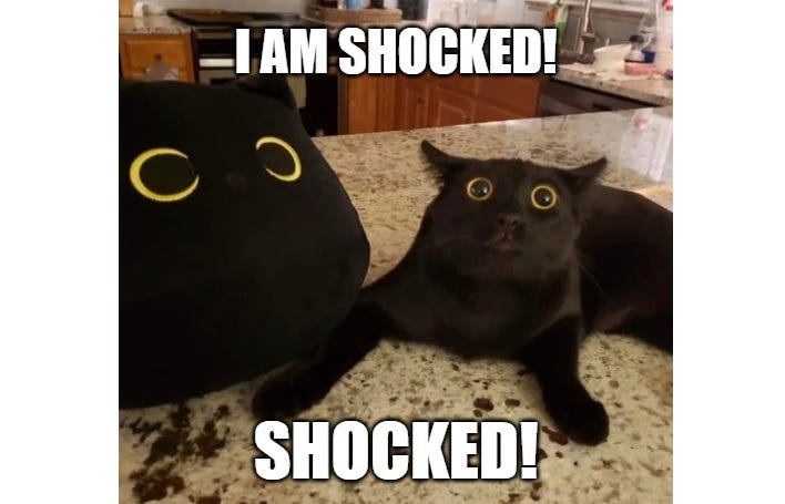 A black cat lies on a kitchen counter, looking up in what seems to be surprise. Its eyes are wide, pupils dilated, its front legs splayed as if about to jump up, and its ears are back. Next to it is a large pillow that looks like a black cat's face, its wide eyes look a lot like the real cat's. Text, in Impact font: 'I AM SHOCKED! SHOCKED!'
