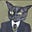 StockCats's avatar