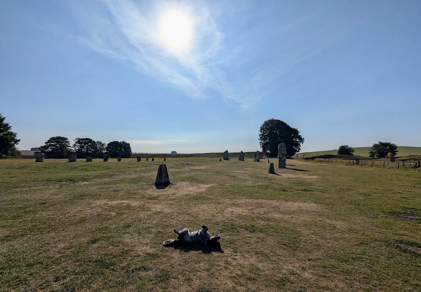 Looking across the stones to the clump of trees on the horizon line.