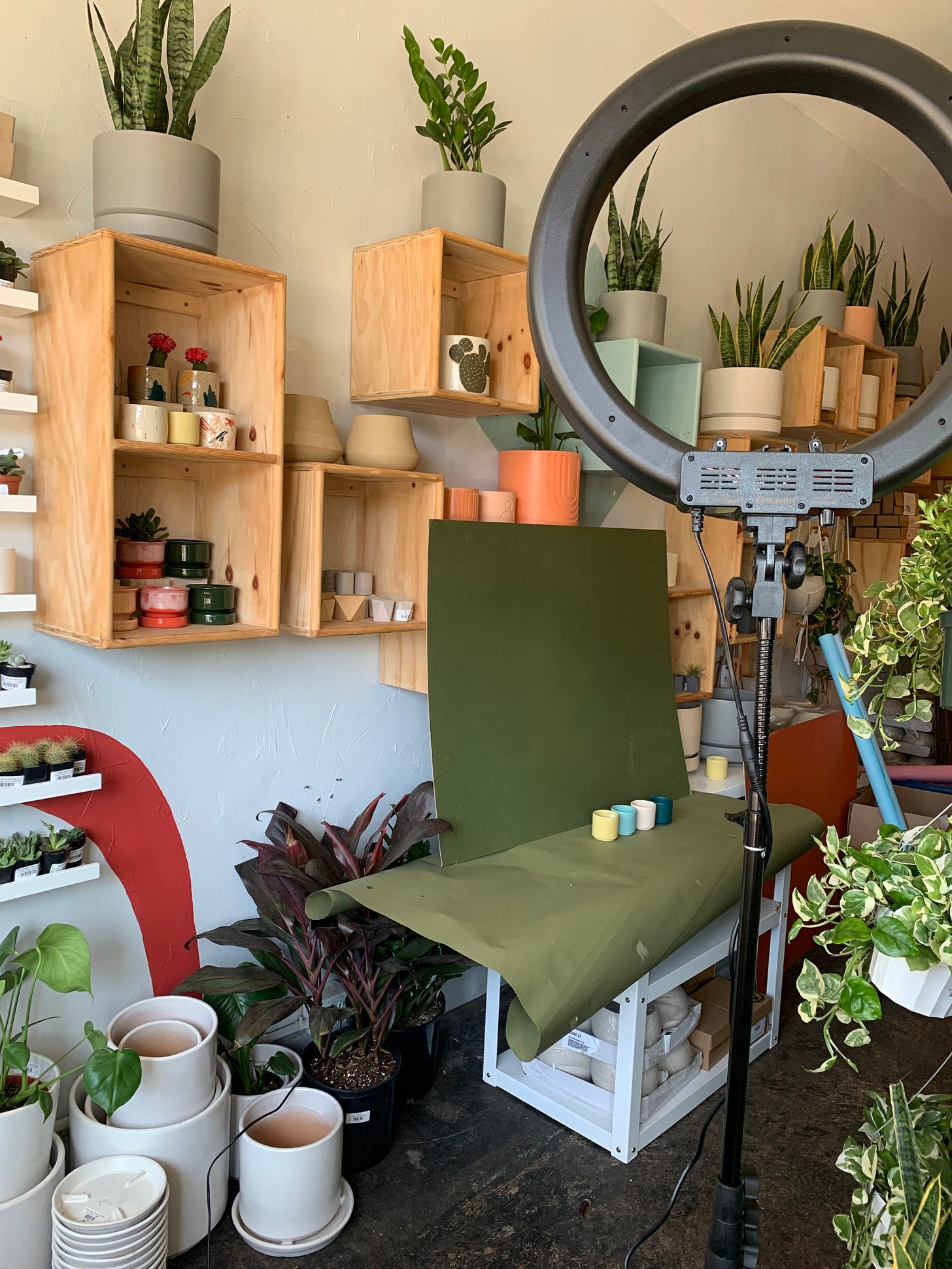 ring light and photo backdrop with small pots inside a retail shop ring light and photo backdrop with small pots inside a retail shop