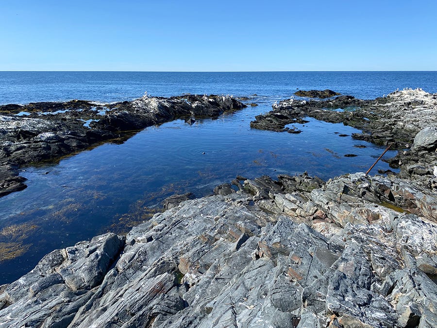 Ledge at Halfway Rock