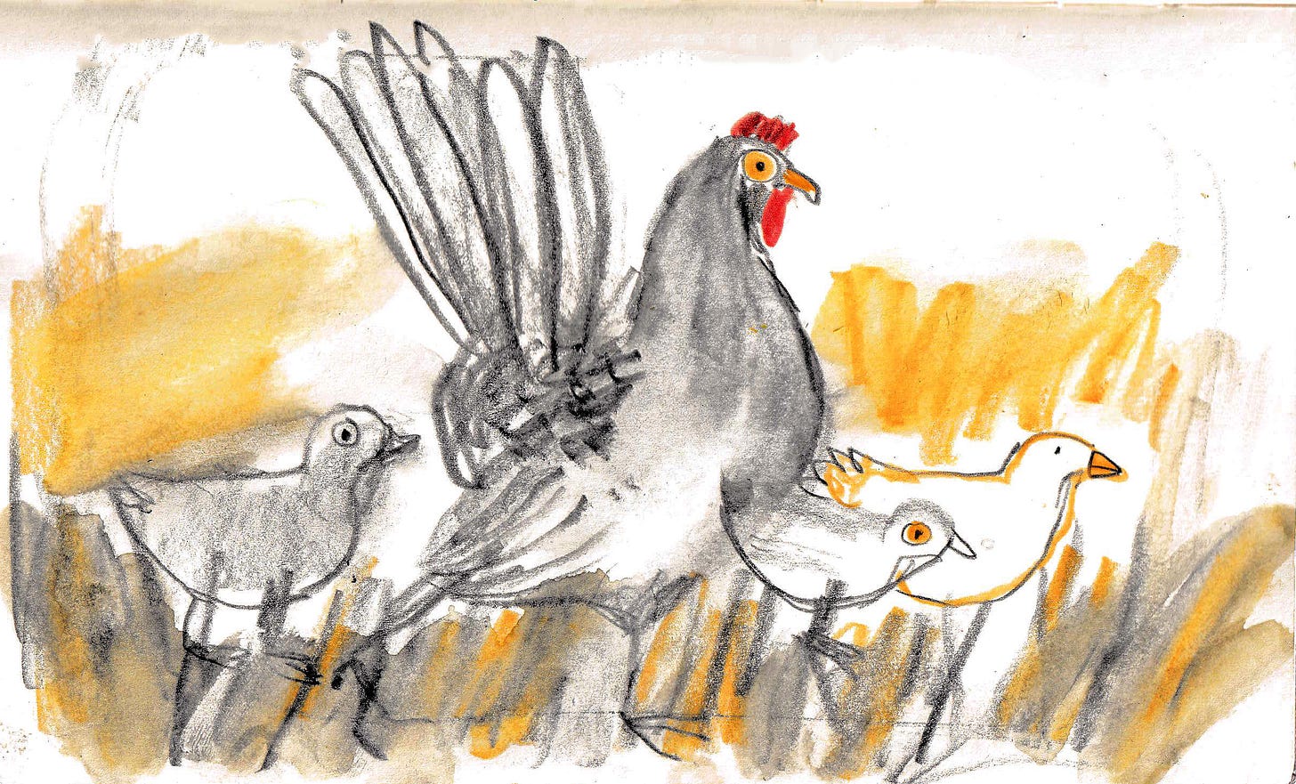 chickens illustrated by Beth Spencer