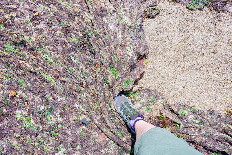 A foot moves some kelp like carpet to show sand underneath