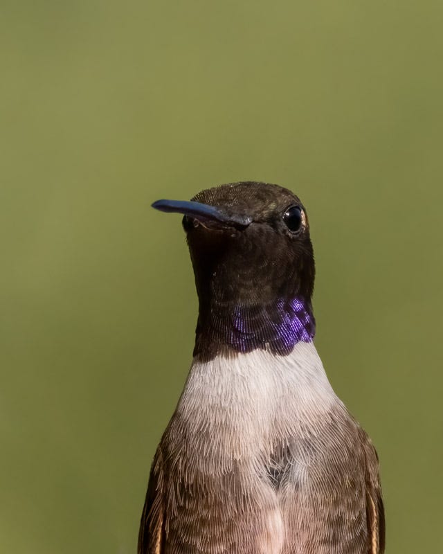 20240908-mby-272-Edit.jpg