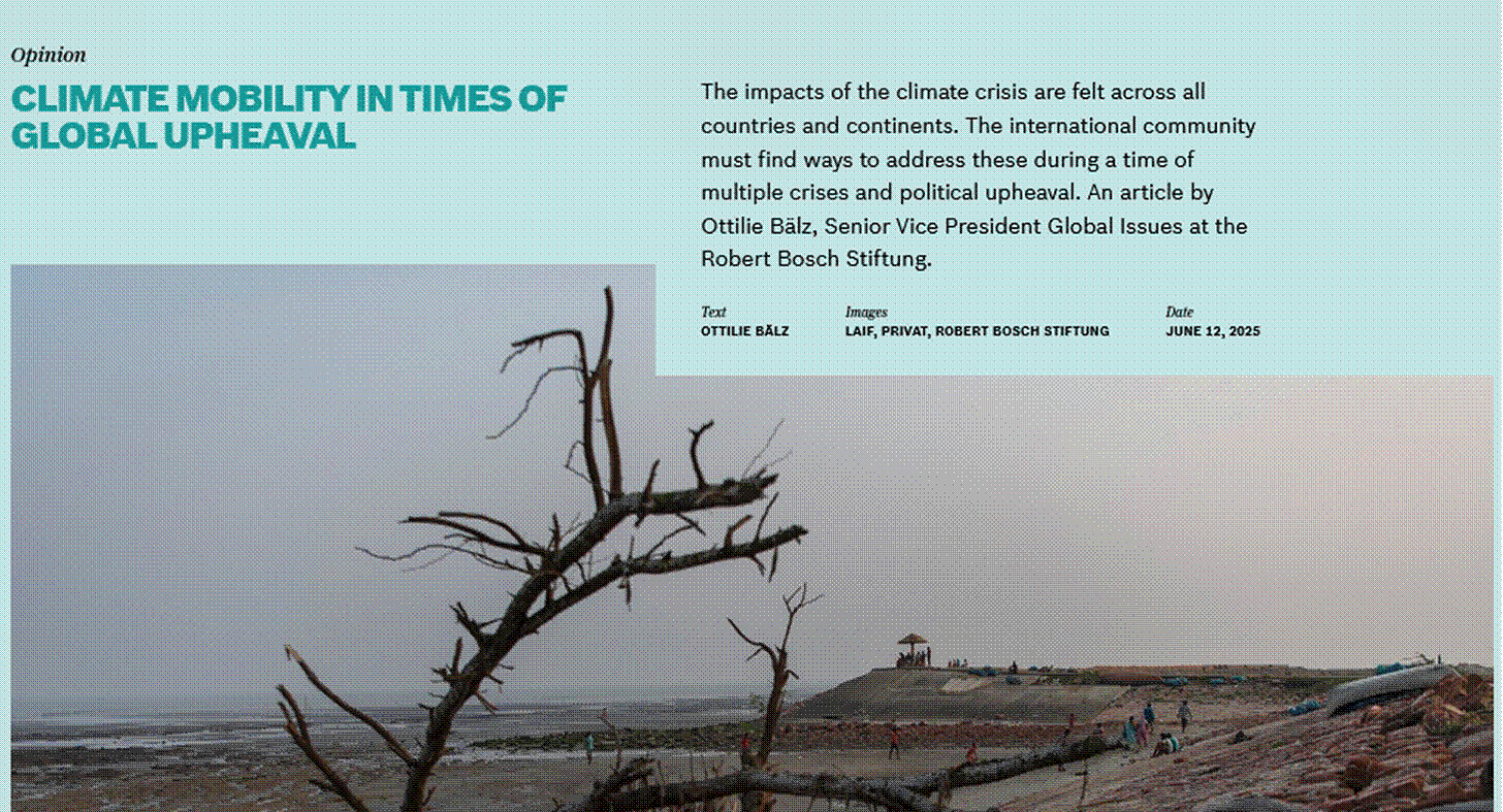 A tree branch with text and a building in the background AI-generated content may be incorrect. A tree branch with text and a building in the background AI-generated content may be incorrect.