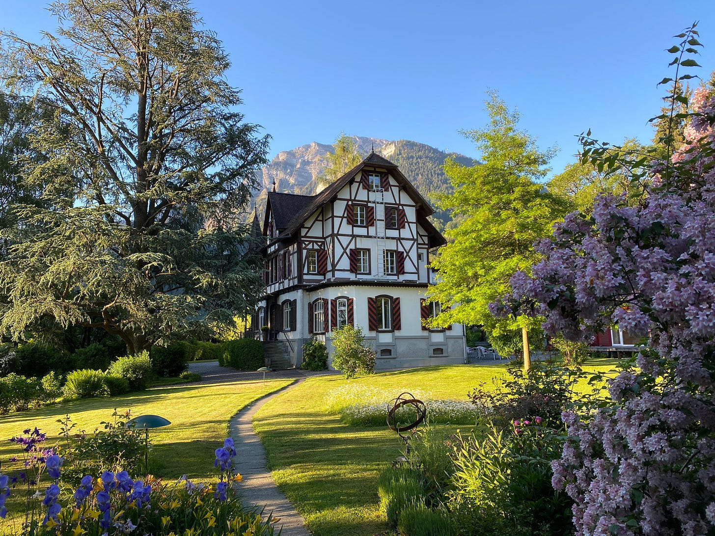 Seminarhouse | Goldener Wind