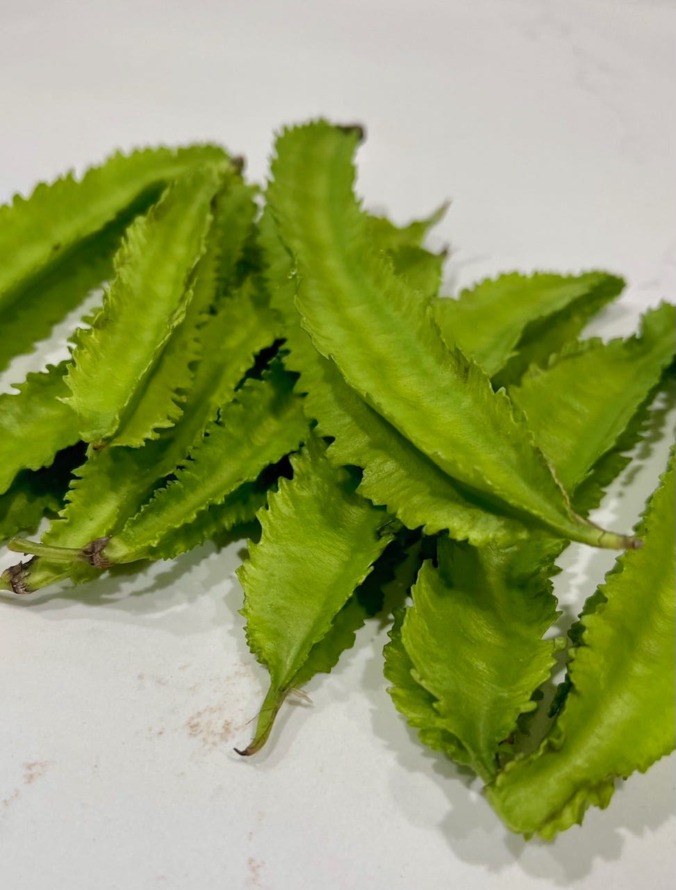 Several green winged beans on a white marble countertop.