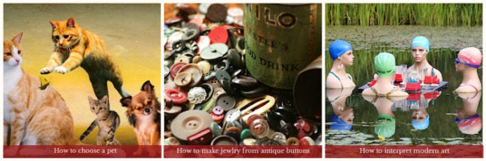 Triptych: cats, antique buttons, store mannequins in a pond