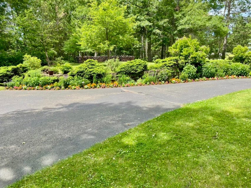 A road with a garden and bushes

Description automatically generated with medium confidence