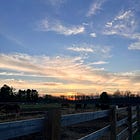 🪷It's okay to stay in here