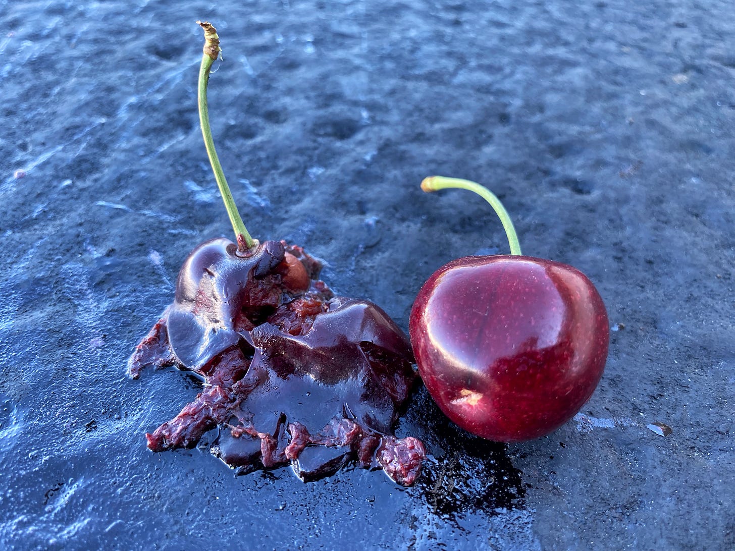 A photograph of two red cherries on asphalt. One of the cherries is whole, the other is very squished. A photograph of two red cherries on asphalt. One of the cherries is whole, the other is very squished.