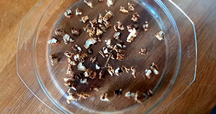 1. Chopped and roasted chunks of root on a plate. 2. Ground into a fine brown powder. 3. Brewing in a glass cafetiere. 4. Dark brown dandelion coffee in a white cup.