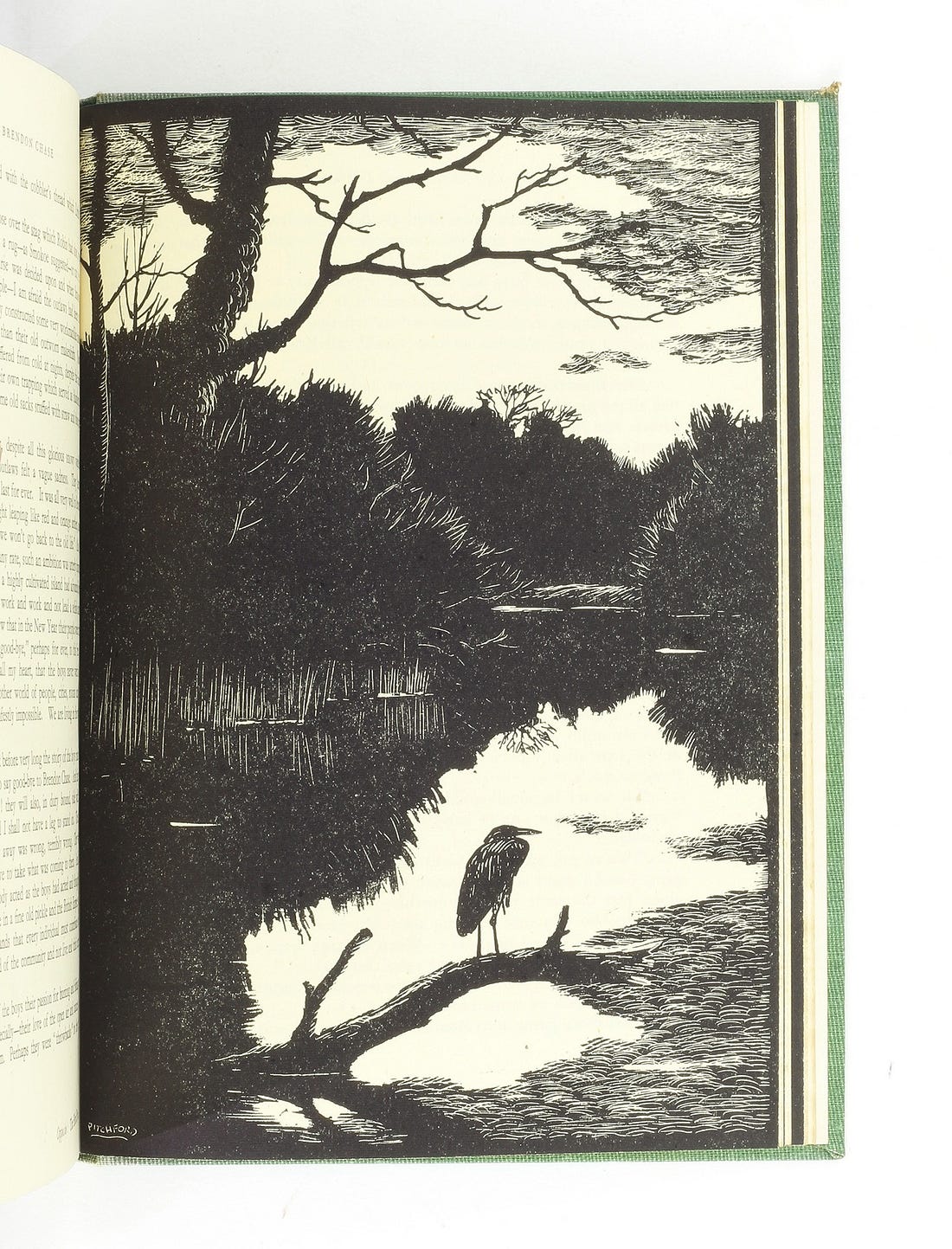 Illustration by Denys Watkins-Pitchford showing a heron perched on a branch overlooking a lake. Illustration by Denys Watkins-Pitchford showing a heron perched on a branch overlooking a lake.