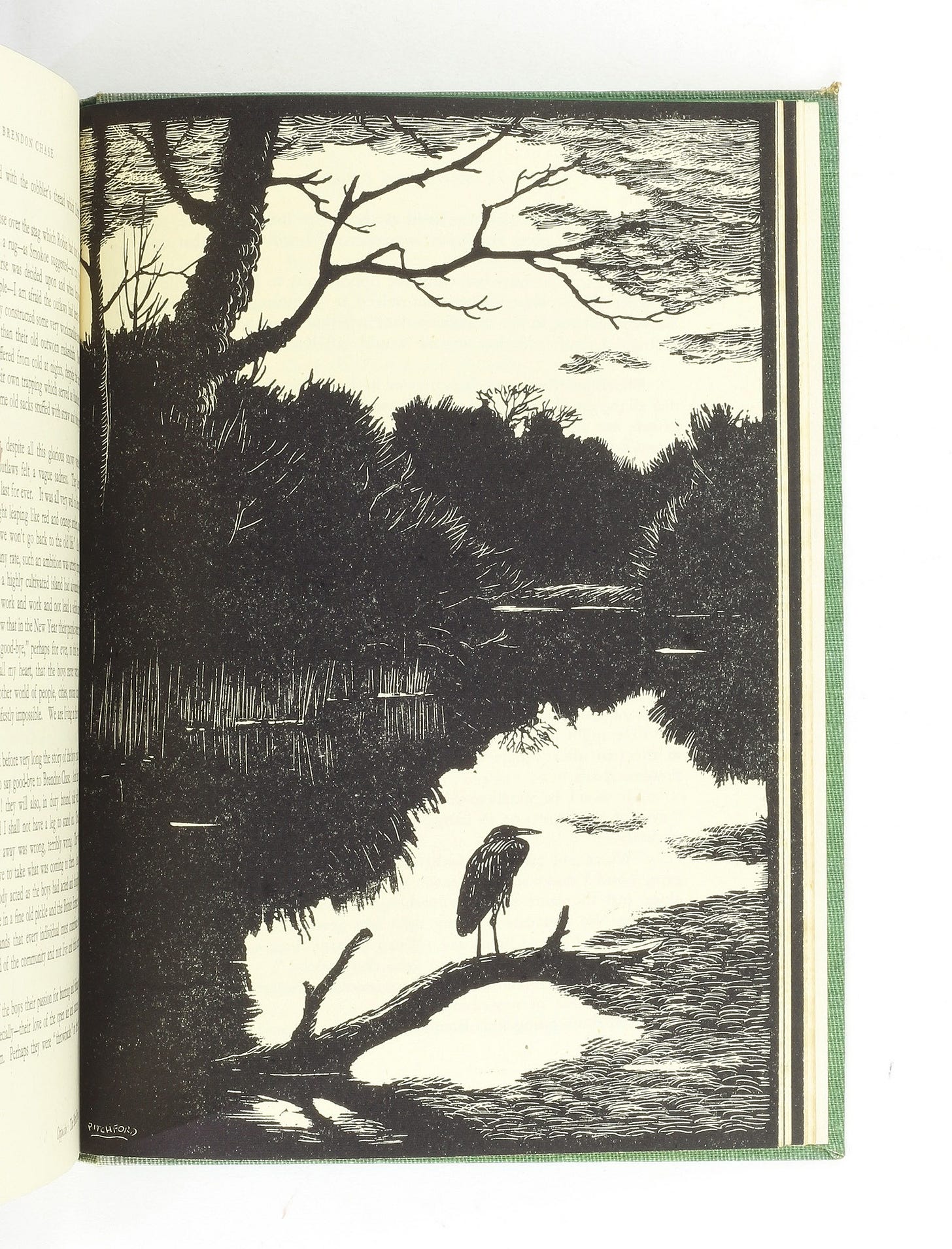 Illustration by Denys Watkins-Pitchford showing a heron perched on a branch overlooking a lake.