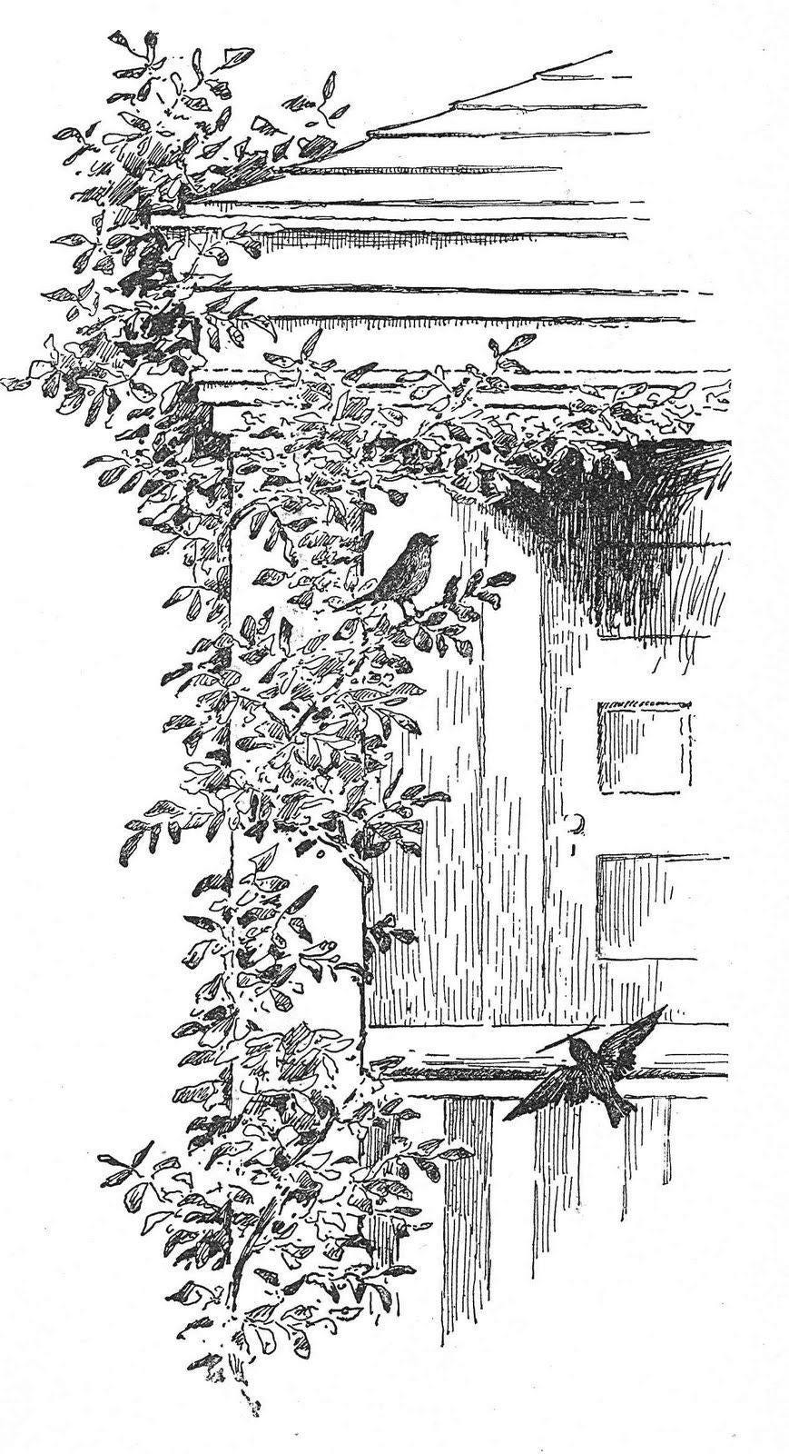 May be a black-and-white image