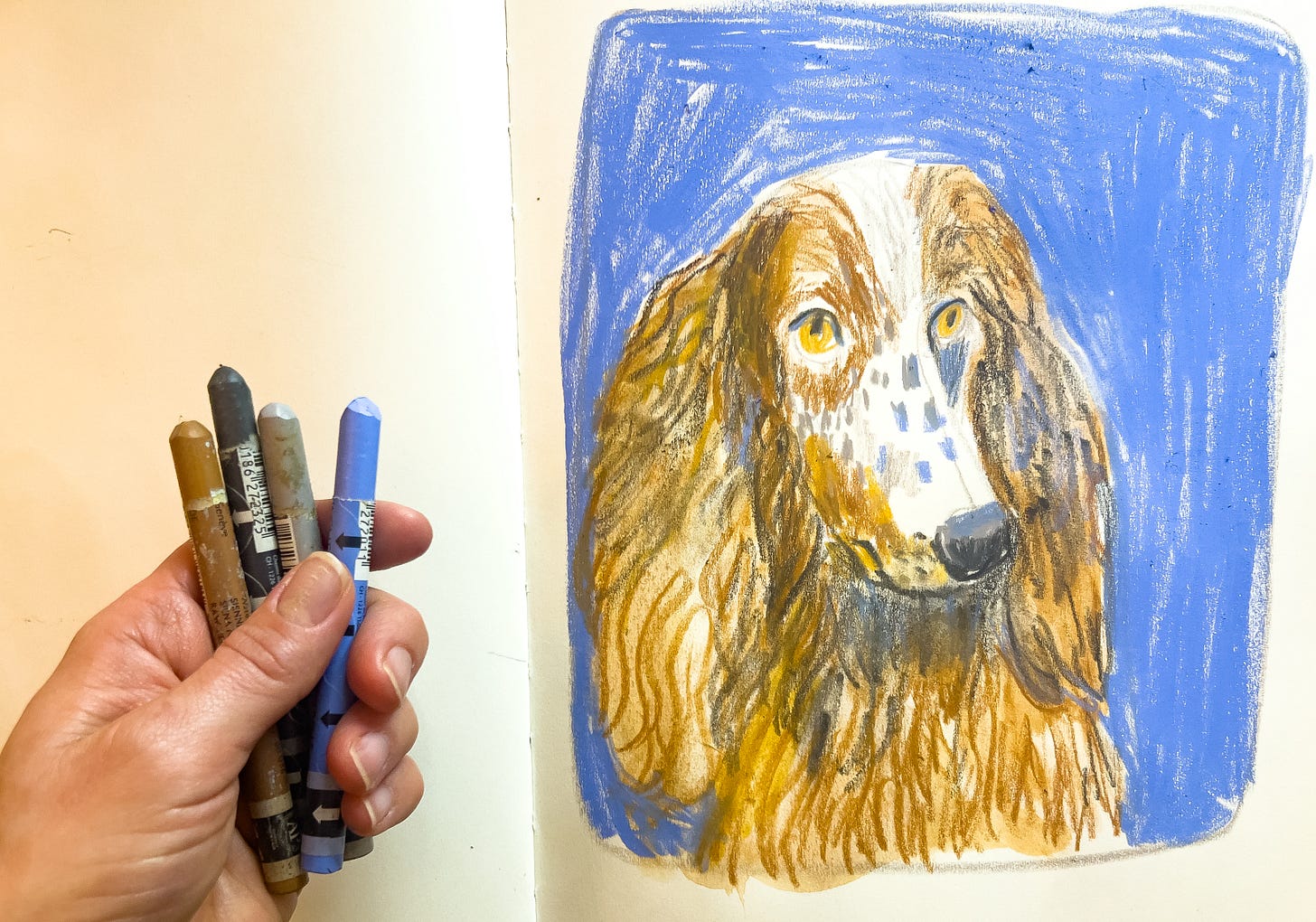 dog illustration by Beth Spencer