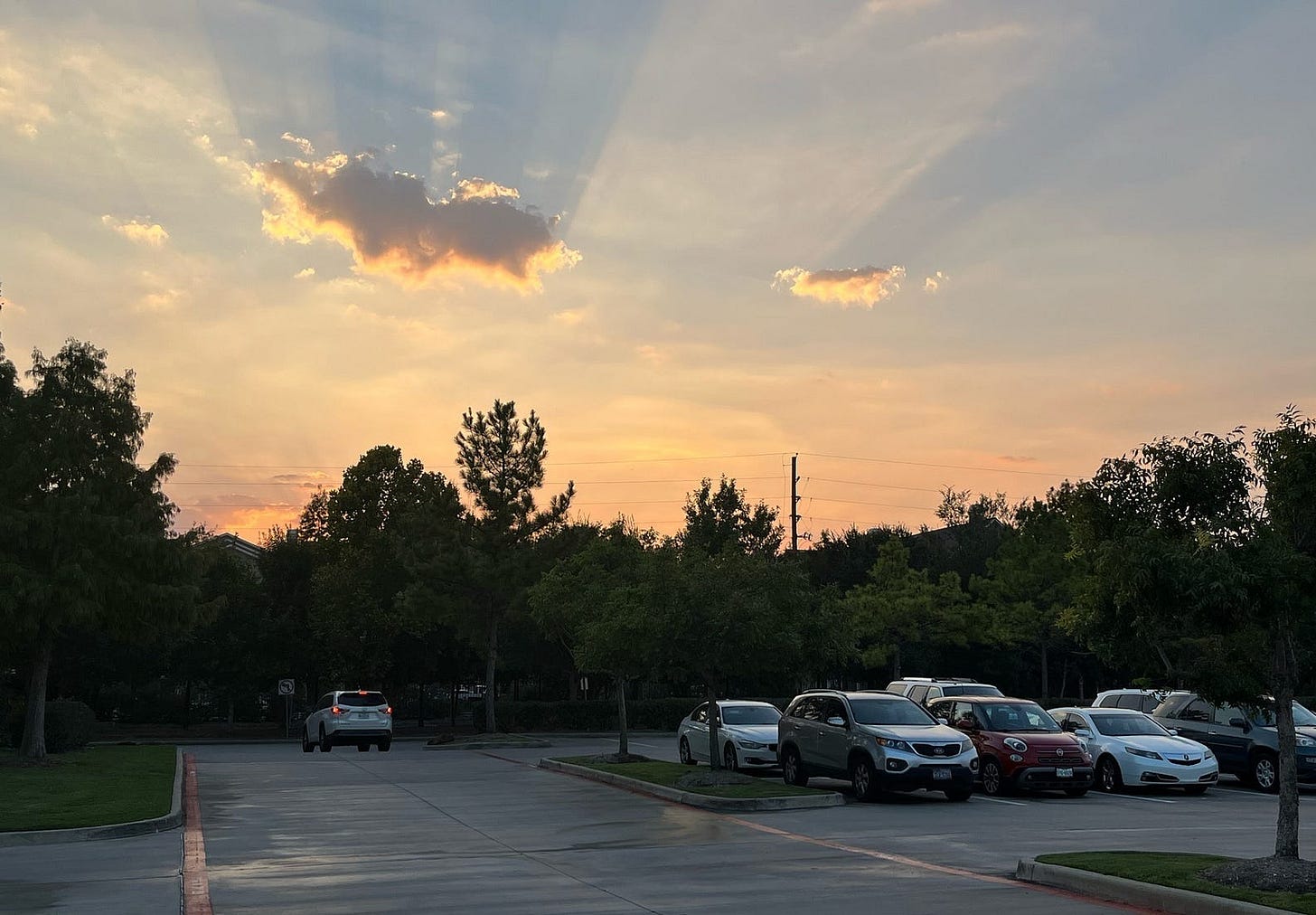 a picture pf the sky, trees and cars