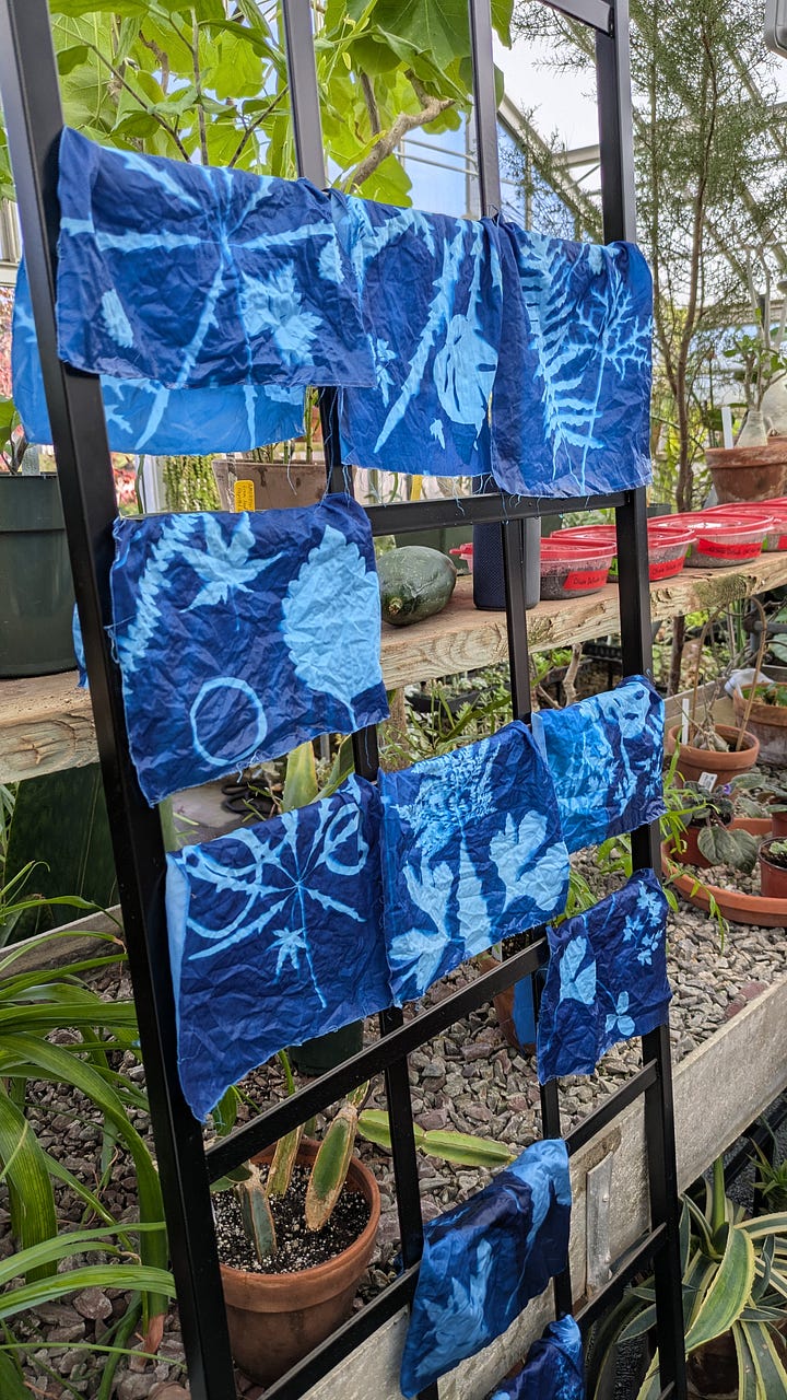 a close up of a costume jacket using paracord as trim, botanical cyanotypes drying