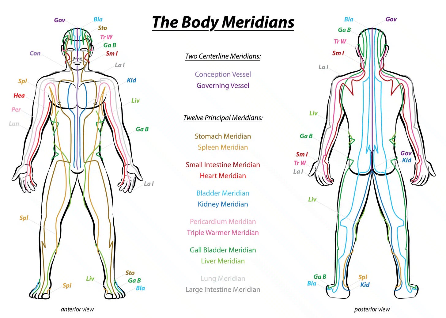 Understanding Acupuncture Meridian Pathways | ACA Acupuncture and Wellness