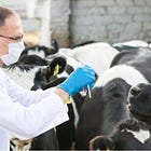 Coming Soon to a Country Near You: Australia Approves Mandatory mRNA Vaccines for ALL Agriculture