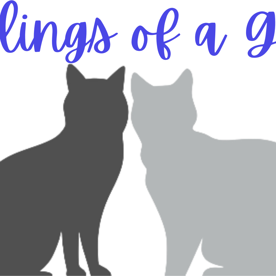 Ramblings of a Gemini