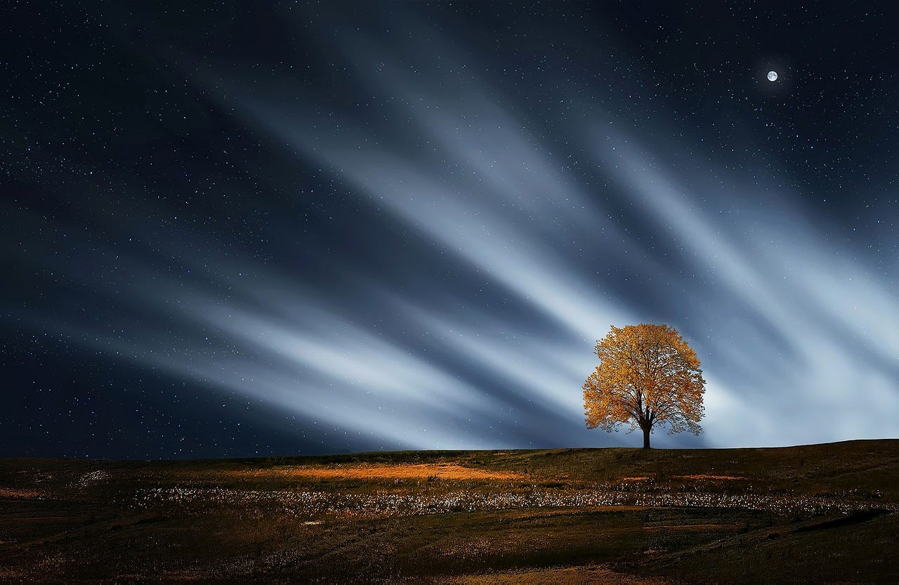 Tree with starry night