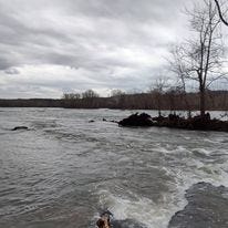 May be an image of body of water