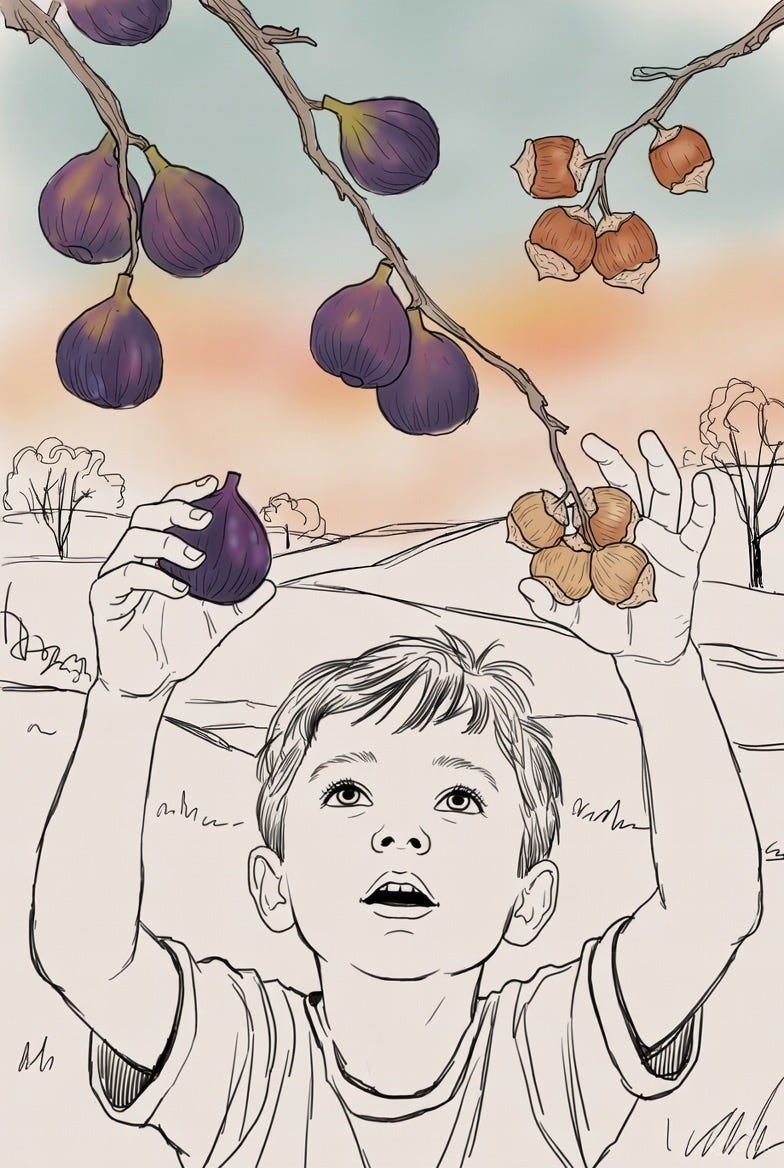 Boy grabbing figs and hazelnuts from trees